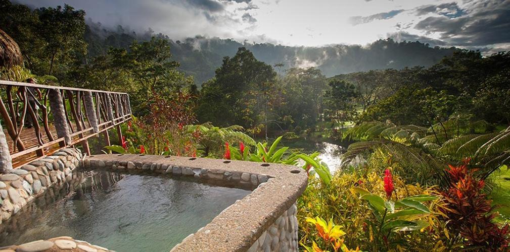 Rafiki Safari Lodge Savegre Ngoại thất bức ảnh