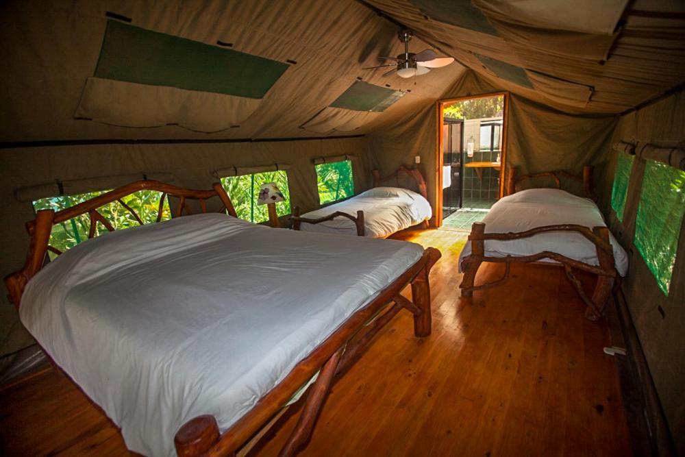 Rafiki Safari Lodge Savegre Ngoại thất bức ảnh