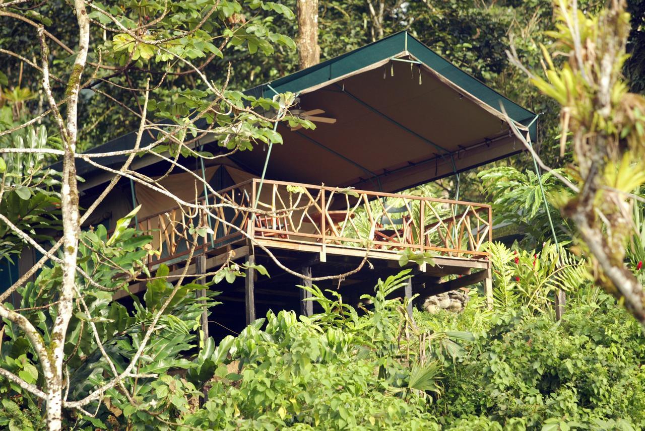 Rafiki Safari Lodge Savegre Phòng bức ảnh